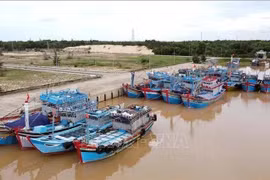 Fishing vessels in Quang Binh province (Photo: VNA)