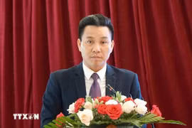 Quach Quang Dong, Deputy Director of the MoIT’s Energy Efficiency and Sustainable Development Department, at the workshop in Da Nang on December 3. (Photo: VNA)