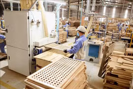 Production of wooden furniture for export to the US at Trieu Phu Loc company in Binh Duong province. (File Photo: VNA)