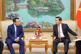 Deputy Prime Minister Tran Hong Ha (R) and Gan Jiayue, visiting CEO of the Chinese multinational conglomerate Geely Auto Group, at their meeting in Hanoi on September 23. (Photo: VNA)