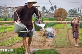 Tourists enjoy experiences at the Tra Que vegetable village in Hoi An, Quang Nam province. (Photo: VNA)