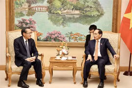 Deputy Prime Minister and Minister of Foreign Affairs Bui Thanh Son (R) and Lao Minister of Energy and Mines Phosay Sayasone at their meeting on October 21 (Photo: VNA)