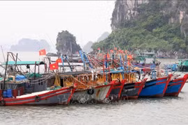 Fishing vessels dock at a port in Quang Ninh (Photo: VNA)