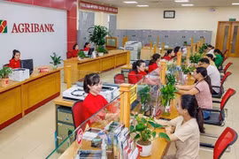 At a branch of Agribank. (Photo: VNA)