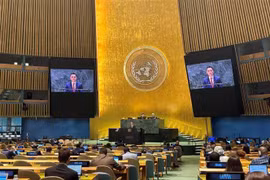 Ambassador Dang Hoang Giang, Permanent Representative of Vietnam to the United Nations, speaks at the annual plenary discussion on oceans and the law of the sea held by the UN General Assembly. (Photo: VNA)
