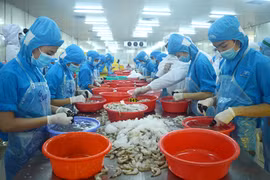 Ben Tre’s exports up over 18 percent in two months