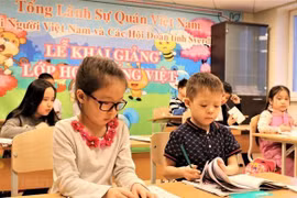 Training course for Vietnamese teachers abroad opens