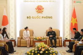 Vietnam, Japan boost UN peacekeeping cooperation 