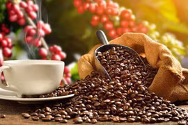Japan’s coffee imports from Vietnam increase