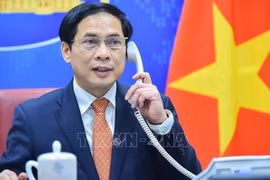Vietnam treasures traditional friendship, multifaceted cooperation with Austria