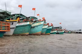 Ca Mau monitors fishing vessels going through estuaries