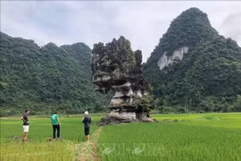 Suggestions made to help optimise values of Global Geopark
