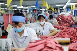 Binh Phuoc province lures investment into 62 projects