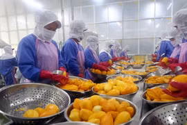 Vietnam’s quest to turn fruit export potential into power