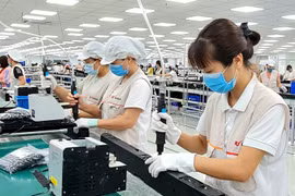Da Nang steps up startup investment activities with Japanese partners