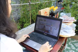 Programme boosting e-commerce development in Central Highlands