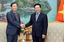 Vietnam, Japan should accelerate implementation of ODA projects: Deputy PM