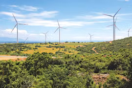Vietnam, Belgium seek stronger partnership in renewable energy, port development