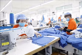 Vietnam looks to boost exports to RoK