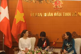 Ha Nam province expects to boost cooperative ties in green production with Denmark 