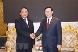 Vietnamese NA willing to share financial supervision experience with Laos