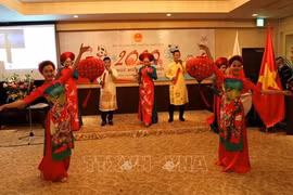 Vietnamese continue to be second largest foreign community in Japan