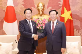 Japanese PM attaches importance to enhancing parliamentary ties with Vietnam
