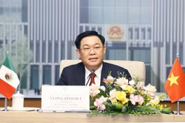 Top legislators of Vietnam, Mexico hold online talks