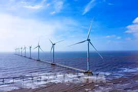British expert highlights Vietnam’s cooperation potential in energy transition