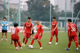 Friendly match against Dortmund important for Vietnam, says Park