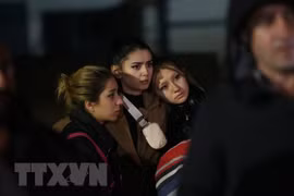 Vietnam sends condolences to Turkey over deadly coal mine blast