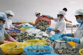 Vietnam enjoys high trade surplus in agricultural, forestry, aquatic exports