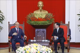 Vietnam-Japan extensive strategic partnership growing strongly: Party official