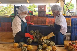 Vietnam targets 5.5 bln USD in agro, forestry, fishery export value to EU