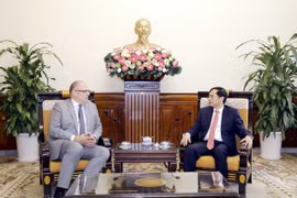 Vietnam wants to strengthen cooperation in areas of Denmark's strength: FM