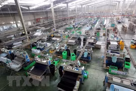 HCM City’s IIP edges down 14.3 percent last year