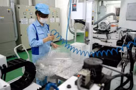 Green economic development crucial to FDI attraction