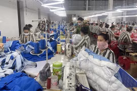 Hanoi completes preparations for freeing amnestied prisoners 