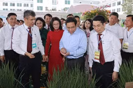 PM emphasises training of high-quality human resources for agriculture