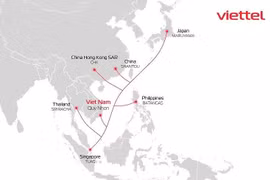 ADC cable route projected to be operational by 2023