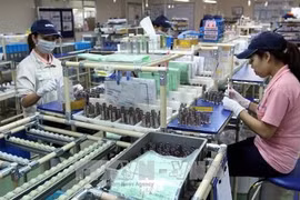 HCM City tops nation in FDI attraction in first eight months