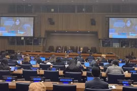 Vietnam re-affirms support for disarmament, non-proliferation of nuclear weapons