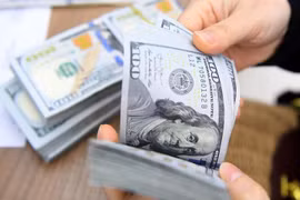 Vietnam's forex reserves projected to keep rising