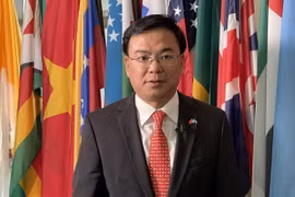 Vietnam’s election to UNHRC affirms efforts in promoting human rights: official 