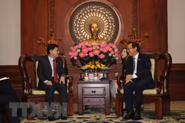 HCM City hopes for more substantive ties with Singapore: official
