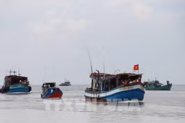Ba Ria-Vung Tau increases inspections to fight IUU fishing