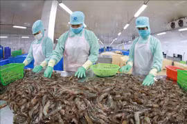 Aquatic exports drop to below 1 billion USD in July