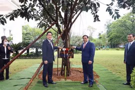 Japanese PM attaches importance to relations with Vietnam: Foreign Press Secretary