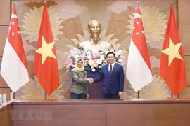 Vietnam-Singapore strategic partnership is developing fruitfully: Leaders