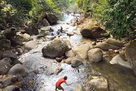 Thailand bans single-use plastics, styrofoam packaging in national parks
